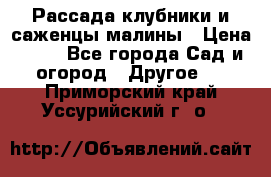 Рассада клубники и саженцы малины › Цена ­ 10 - Все города Сад и огород » Другое   . Приморский край,Уссурийский г. о. 